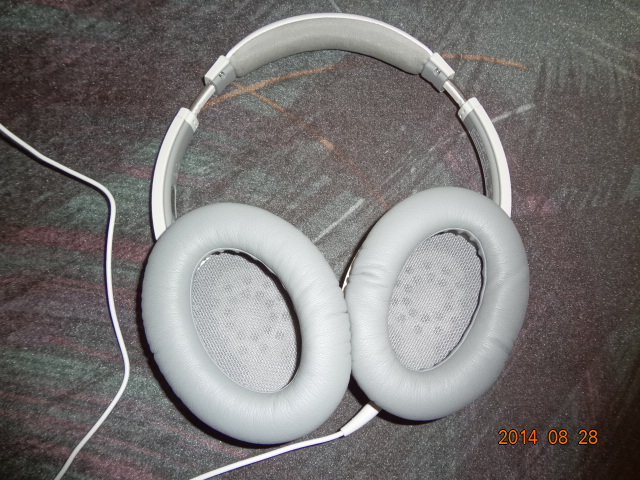 DSC01156.JPG