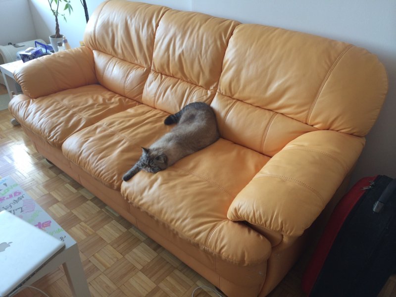 photo.JPG