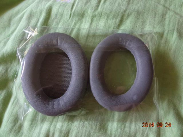 DSC01204.JPG