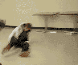 18818253.gif