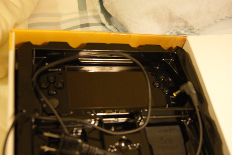 DSC00384.JPG