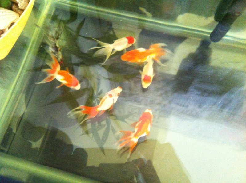 20140921_200309455_iOS.jpg