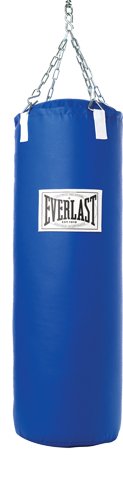 everlast-20punching-20bag-201-1-jpg.jpg