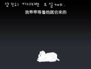 ImageUploadedByCFC 21414336926.938359.jpg