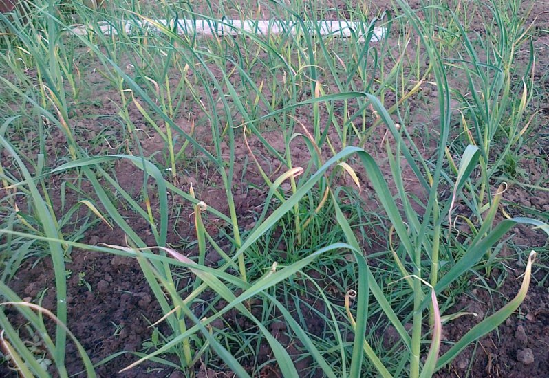 20140602872.jpg