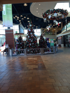 ImageUploadedByCFC Ottawa1415723376.767185.jpg