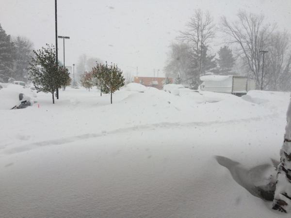 snow 2014.jpg
