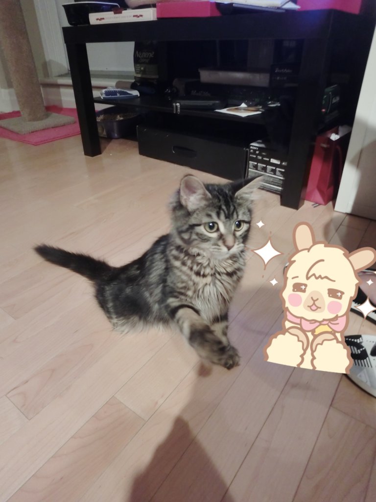 22.pic_hd.jpg