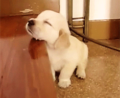 psb-2.gif