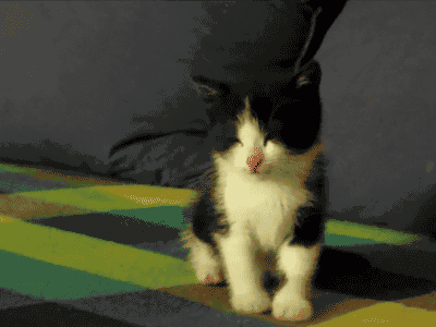 psb-3.gif