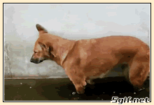 psb-5.gif