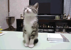 psb-7.gif