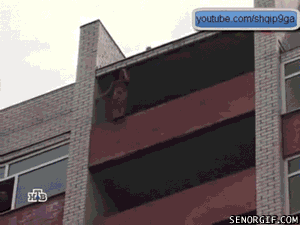 mmexport1418751561089.gif