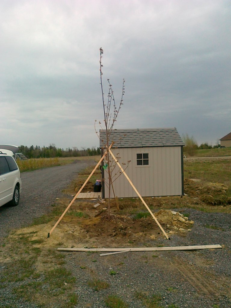 20140512759.jpg