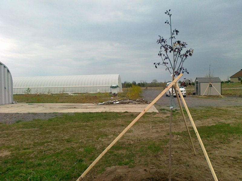 20140512757.jpg