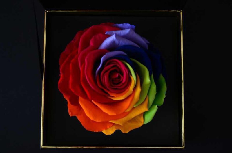 3.pic.jpg
