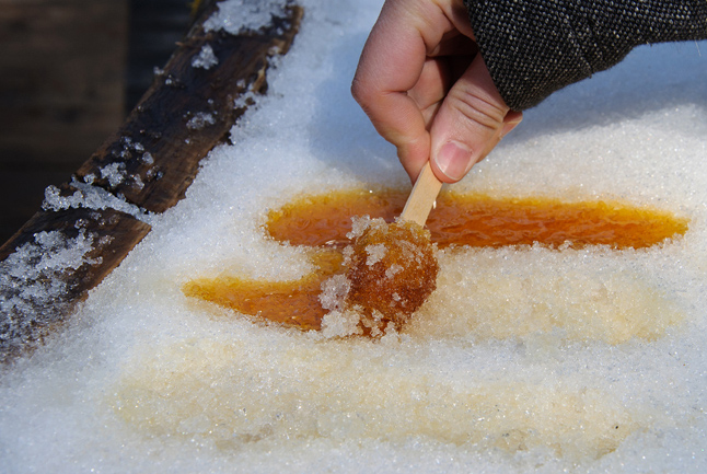 maple-taffy-433.jpg