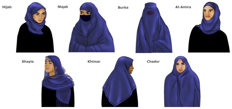 Veils+BBC+News+Web+Article.jpg