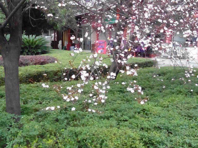 image.jpg
