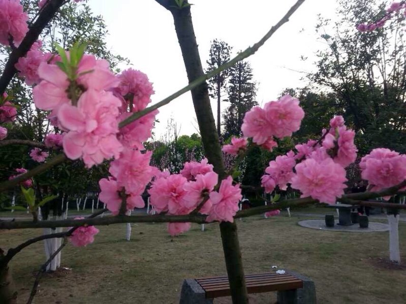image.jpg