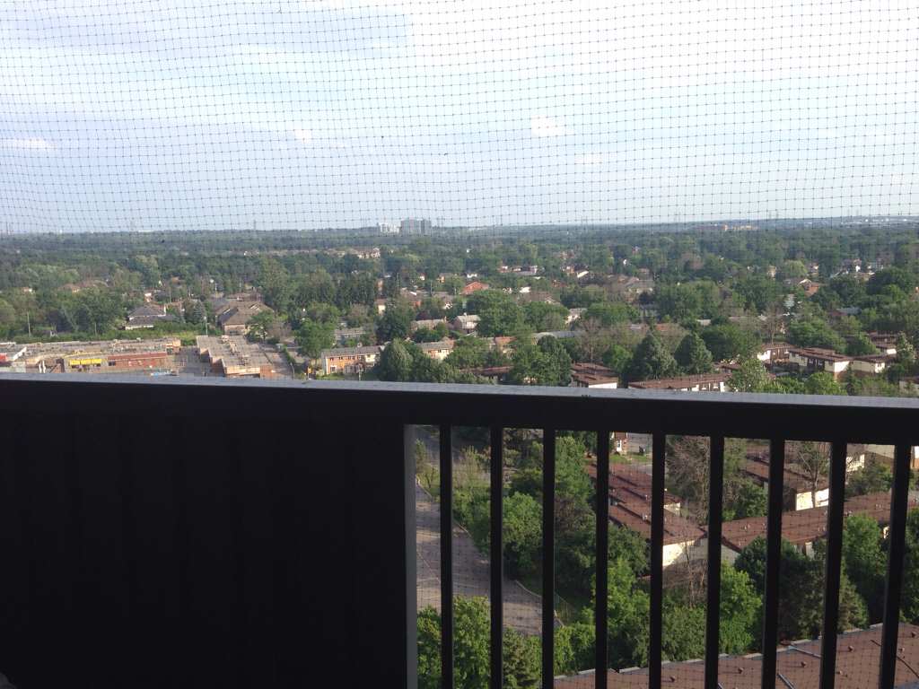 ImageUploadedByCFC Ottawa1427841743.002674.jpg