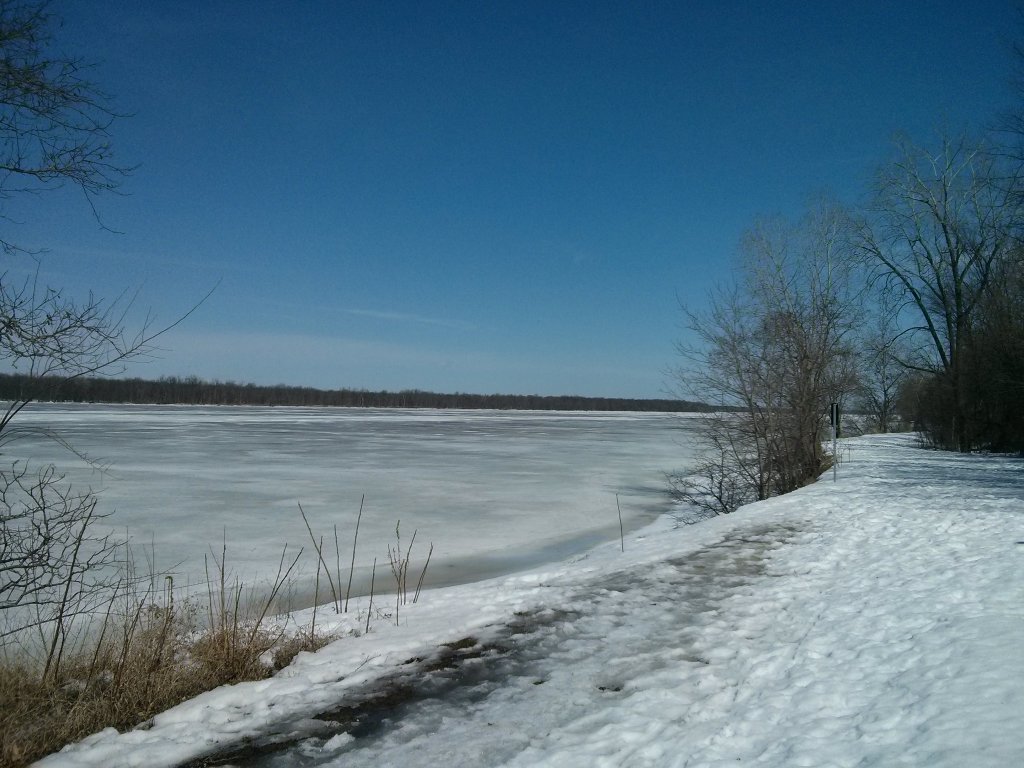 IMG_20150403_140339.jpg