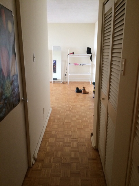 ImageUploadedByCFC Ottawa1429202369.294416.jpg