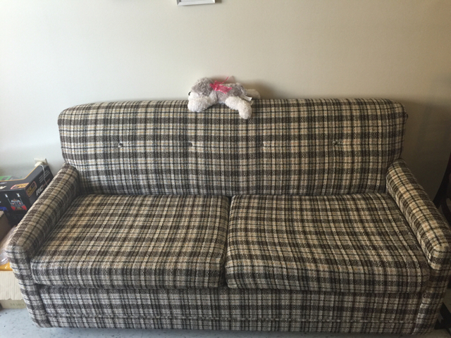 ImageUploadedByCFC Ottawa1430147028.821340.jpg