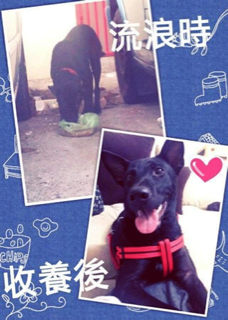 ImageUploadedByCFC 21430321543.994696.jpg