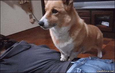 g4.gif