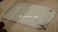 g6.gif