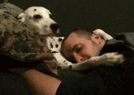g8.gif