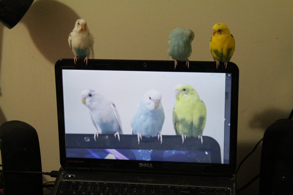 2.JPG