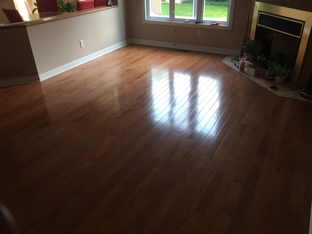 ImageUploadedByCFC Ottawa1436226251.903668.jpg