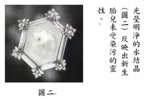 1f.jpg