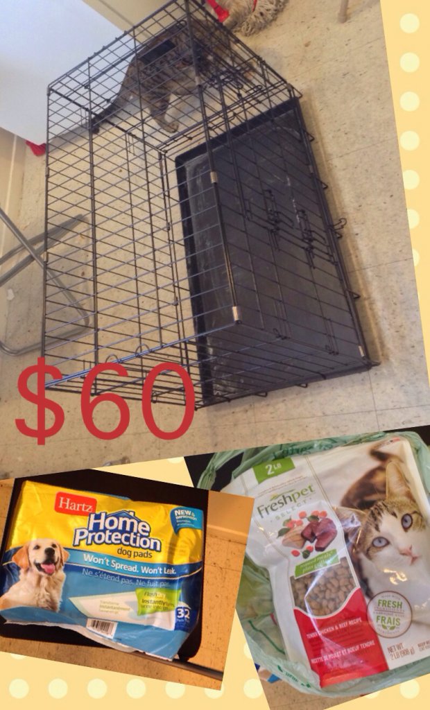 ImageUploadedByCFC Ottawa1438380555.555049.jpg