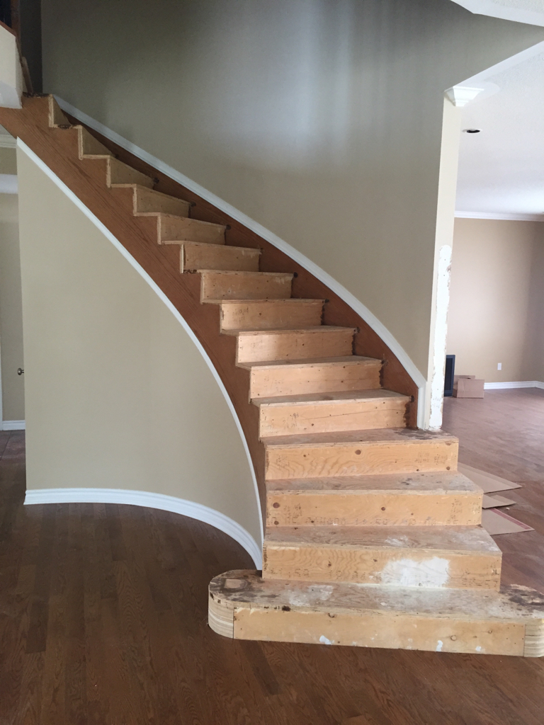 ImageUploadedByCFC Ottawa1438386772.351443.jpg