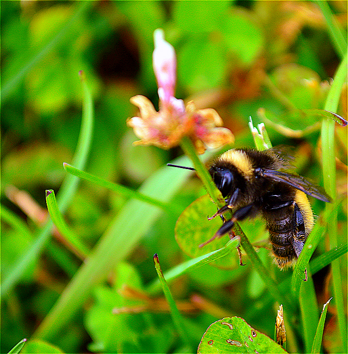 DSC_9362.JPG