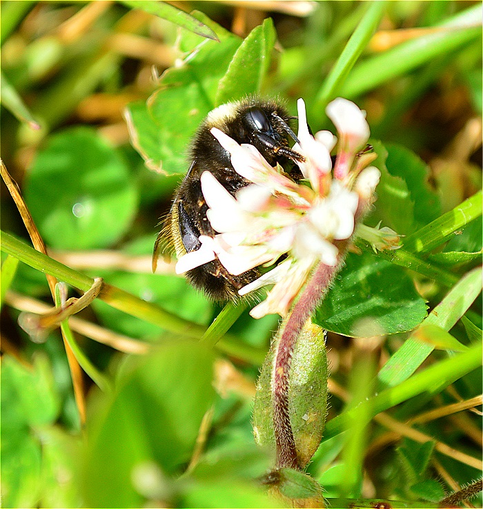 DSC_9389.JPG