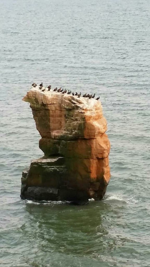 image.jpg