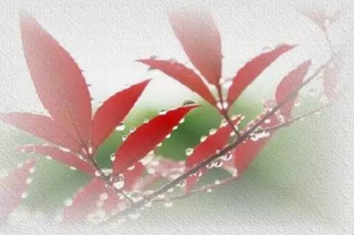 ImageUploadedByCFC 21441854248.890191.jpg