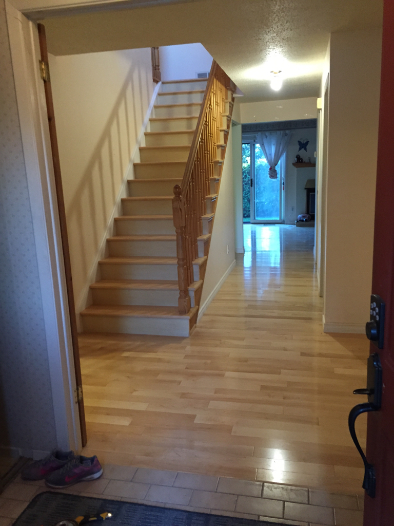 ImageUploadedByCFC Ottawa1442865334.043330.jpg