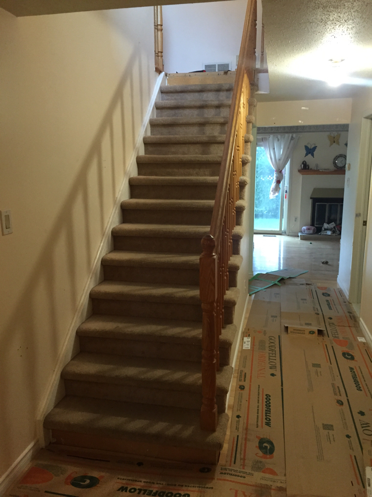 ImageUploadedByCFC Ottawa1444512582.515575.jpg