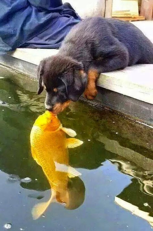 FRIENDSHIP.jpg