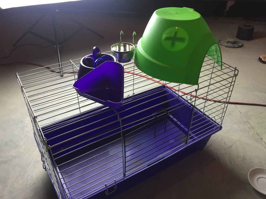 cage1.JPG