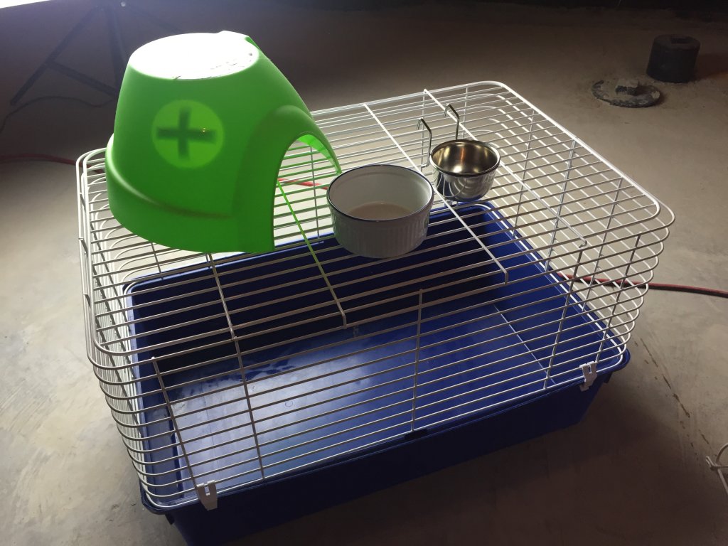 cage2.JPG