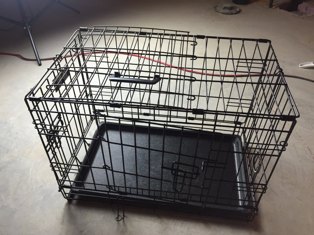 dogCage.JPG