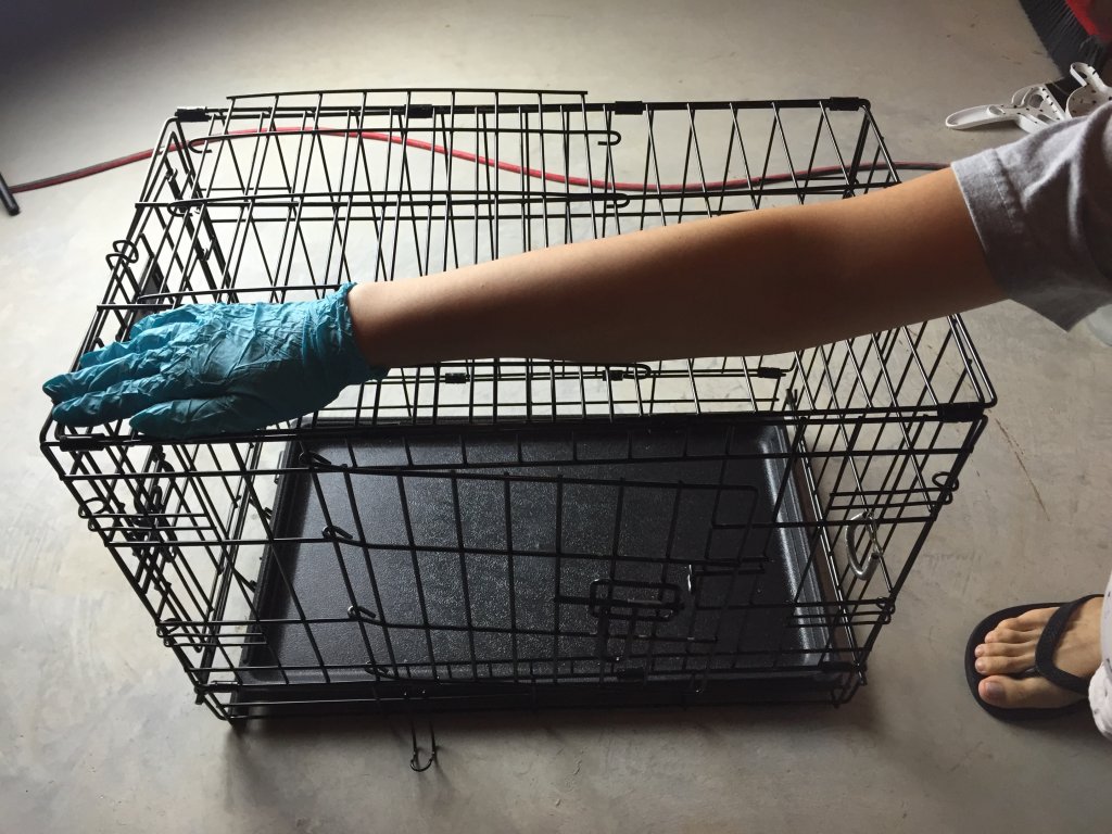 dogCage2.JPG