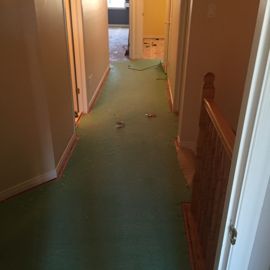 ImageUploadedByCFC Ottawa1448154350.979742.jpg