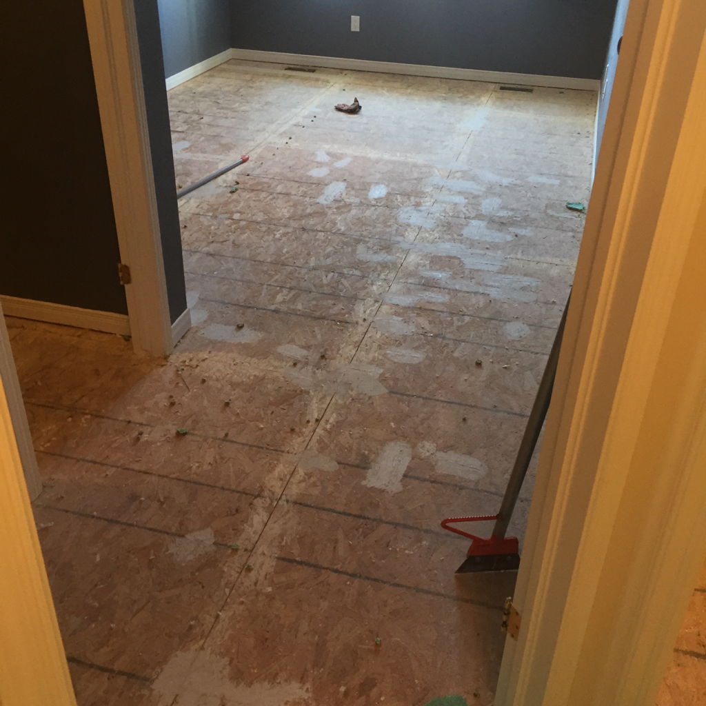 ImageUploadedByCFC Ottawa1448417114.053158.jpg